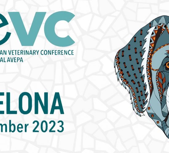 SEVEC Barcelona 2023: En la vanguardia de la medicina veterinaria